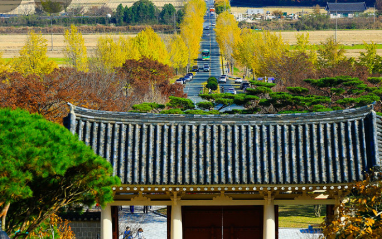 가을에 꼭 가봐야할 경주여행 BEST 5