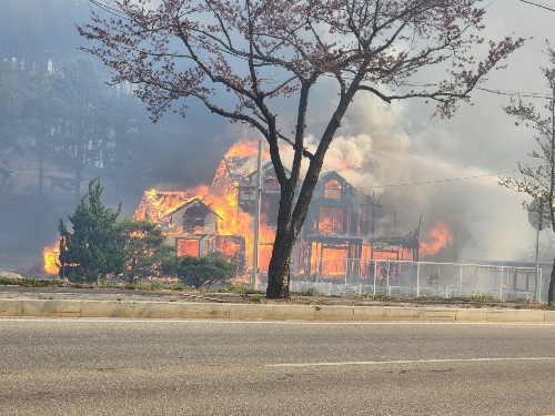 산불