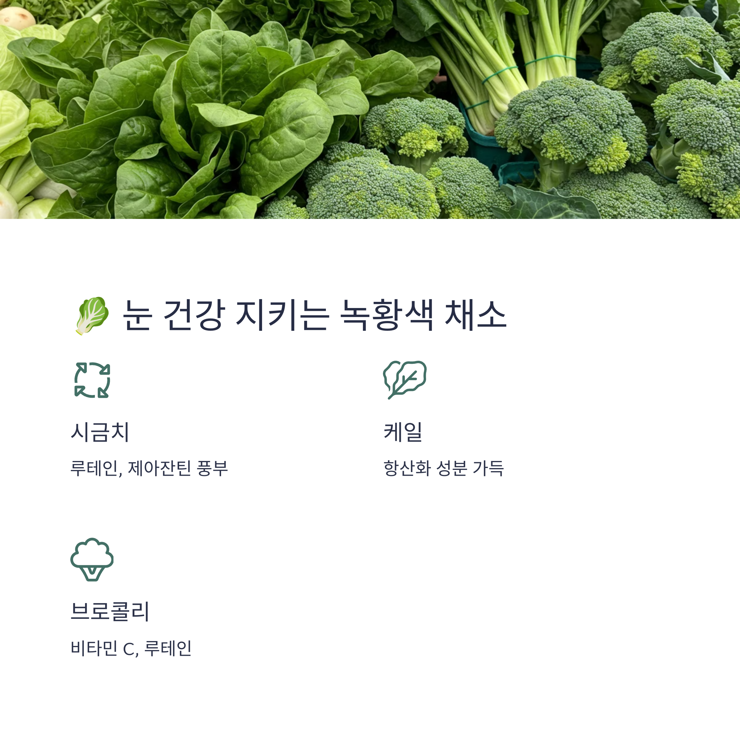 황반변성에 좋은 음식과 영양제 추천