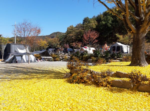 도명산_캠핑장_전경