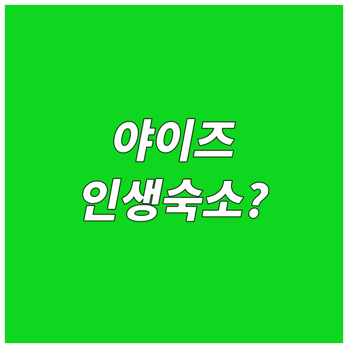 시즈오카 야이즈 숙소 추천 베스트 5..