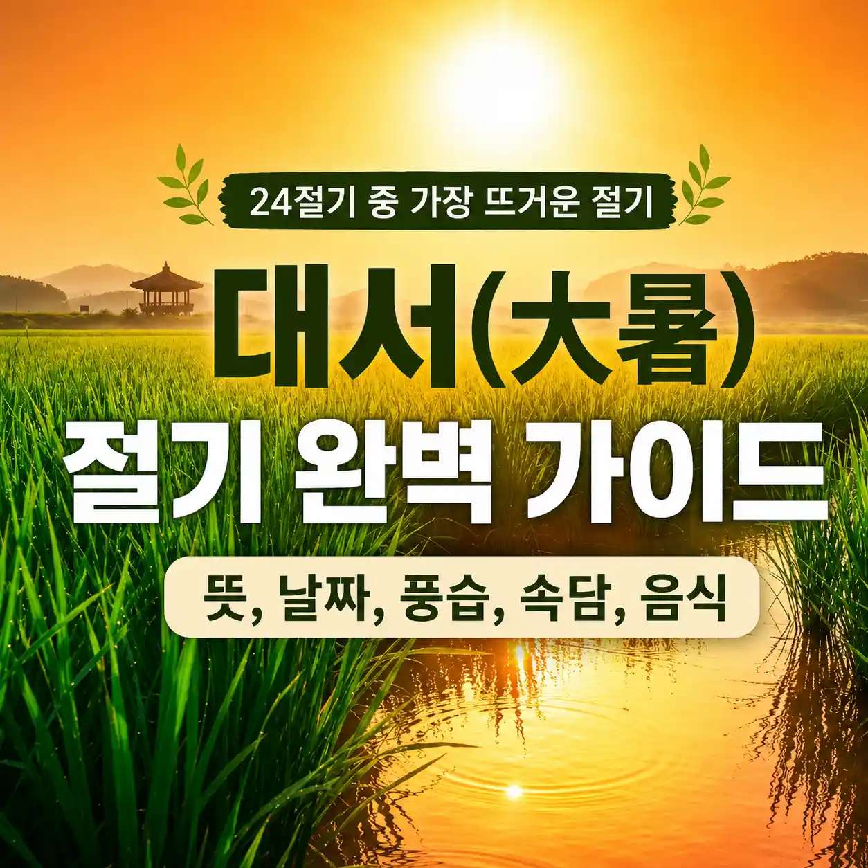 2026년 대서 절기와 논밭 위로 떠오르는 여름 아침 햇살 풍경