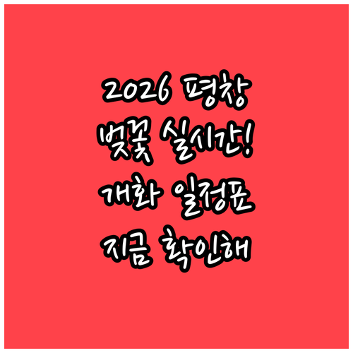 2026년 평창 벚꽃 축제 일정과 실..