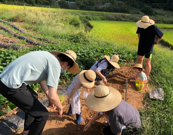머시머시체험농장