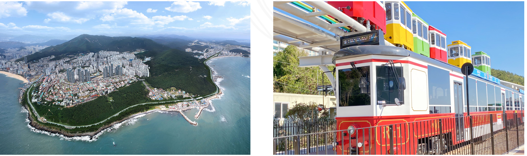 스카이캡슐 내부에서 창밖 바다를 구경하는 반려견