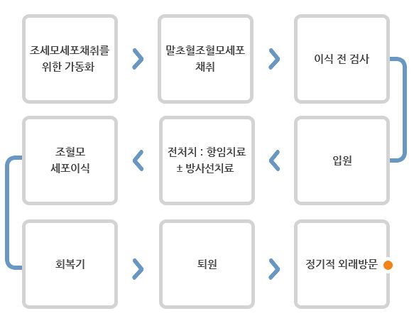 조혈모세포이식과정