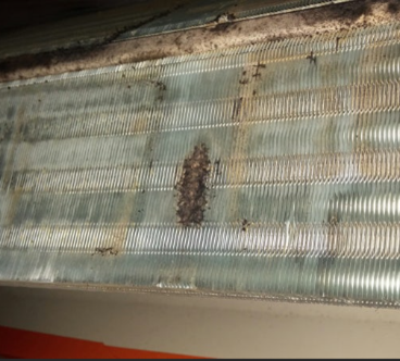 자동차 에어컨 곰팡이2