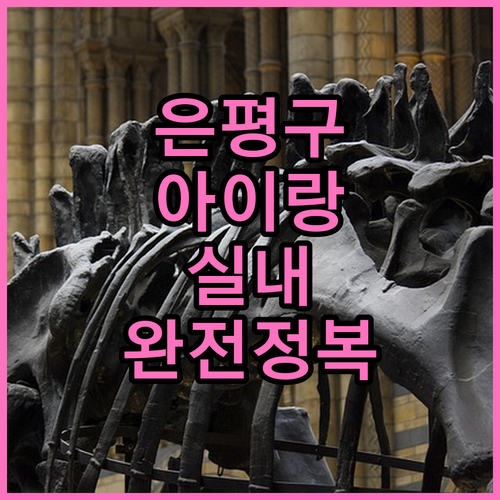 아이와 함께 가기 좋은 은평구 실내 ..