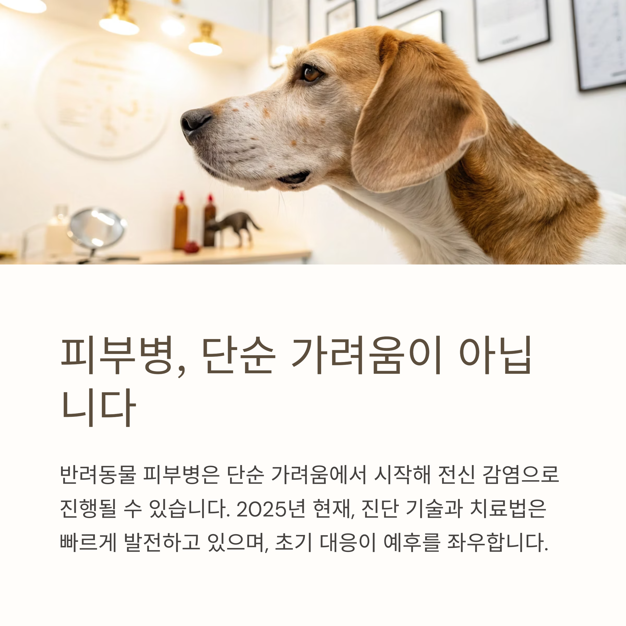 피부병, 단순 가려움이 아닙니다