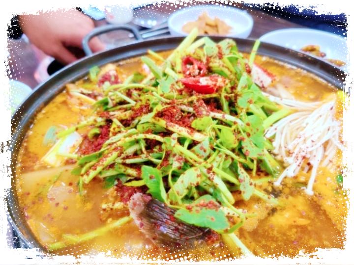 생생정보-제1436회-생대구탕-속초-맛집