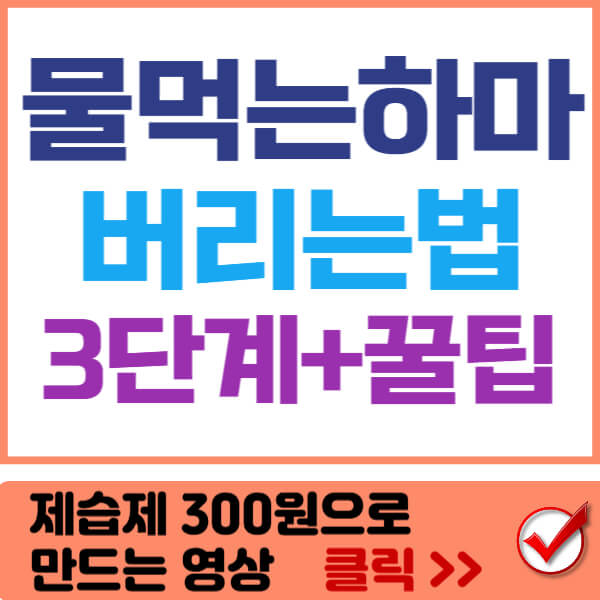 물 먹는 하마 버리는 법 썸네일