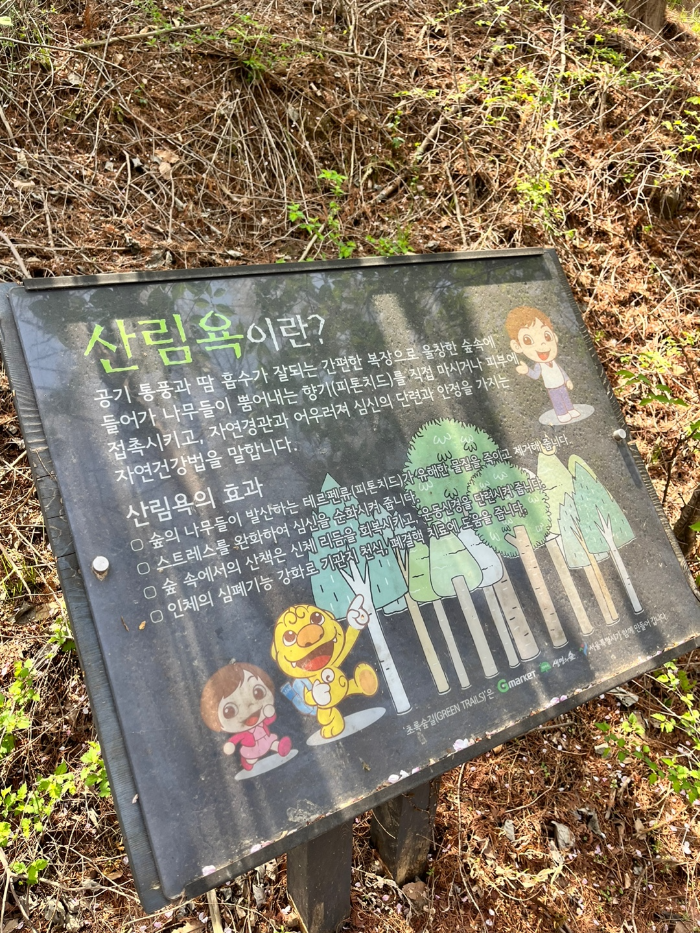 산림욕 해보자~