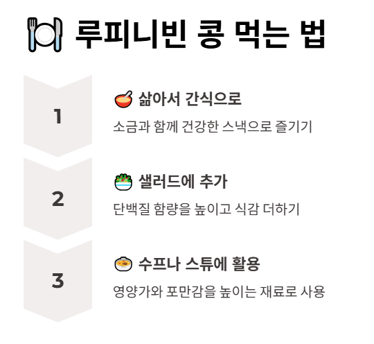 루피니빈 콩 먹는 법