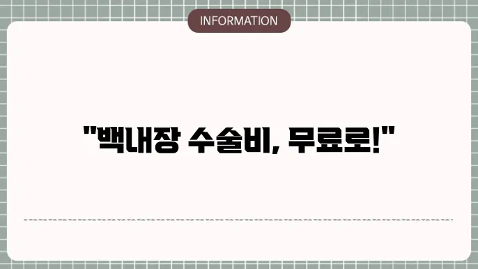 노인 백내장 수술비 지원: 