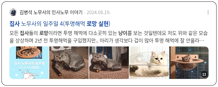 냥이 집사 로망 실현_2_subsection