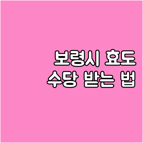 2025년 보령시 효도수당 받는 법:..
