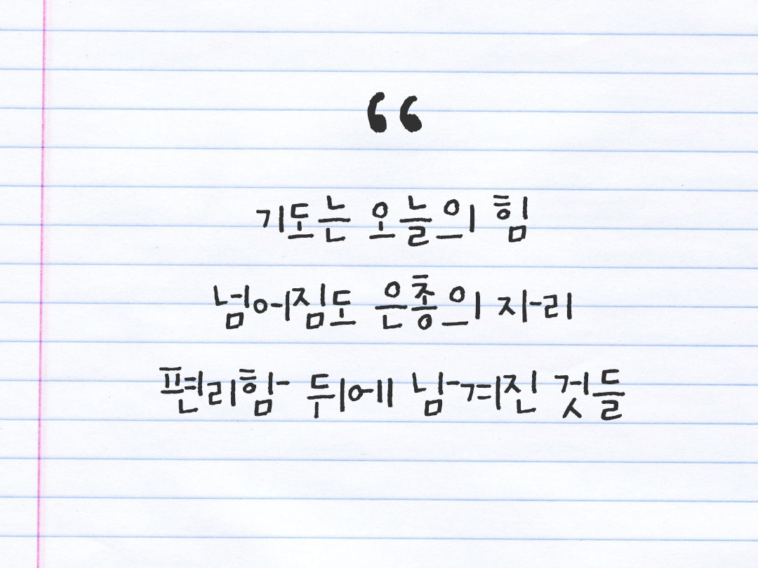 2026년 1월 15일 피어나네 감사노트｜일상을 행복으로 바꾸는 기록 하루 3줄 감사일기