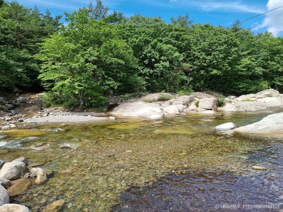고성 도원리계곡