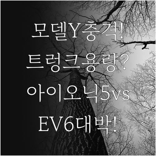 모델Y 트렁크 용량 비교 및 아이오닉..