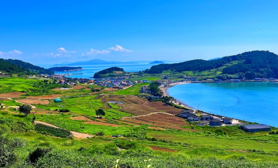 완도 청산도