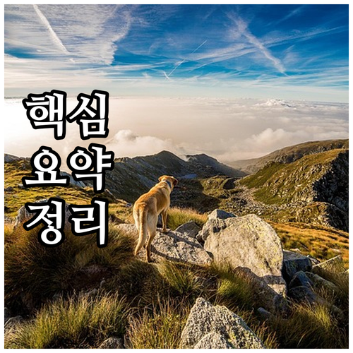 포천시 2025 종량제 봉투 무료 지..