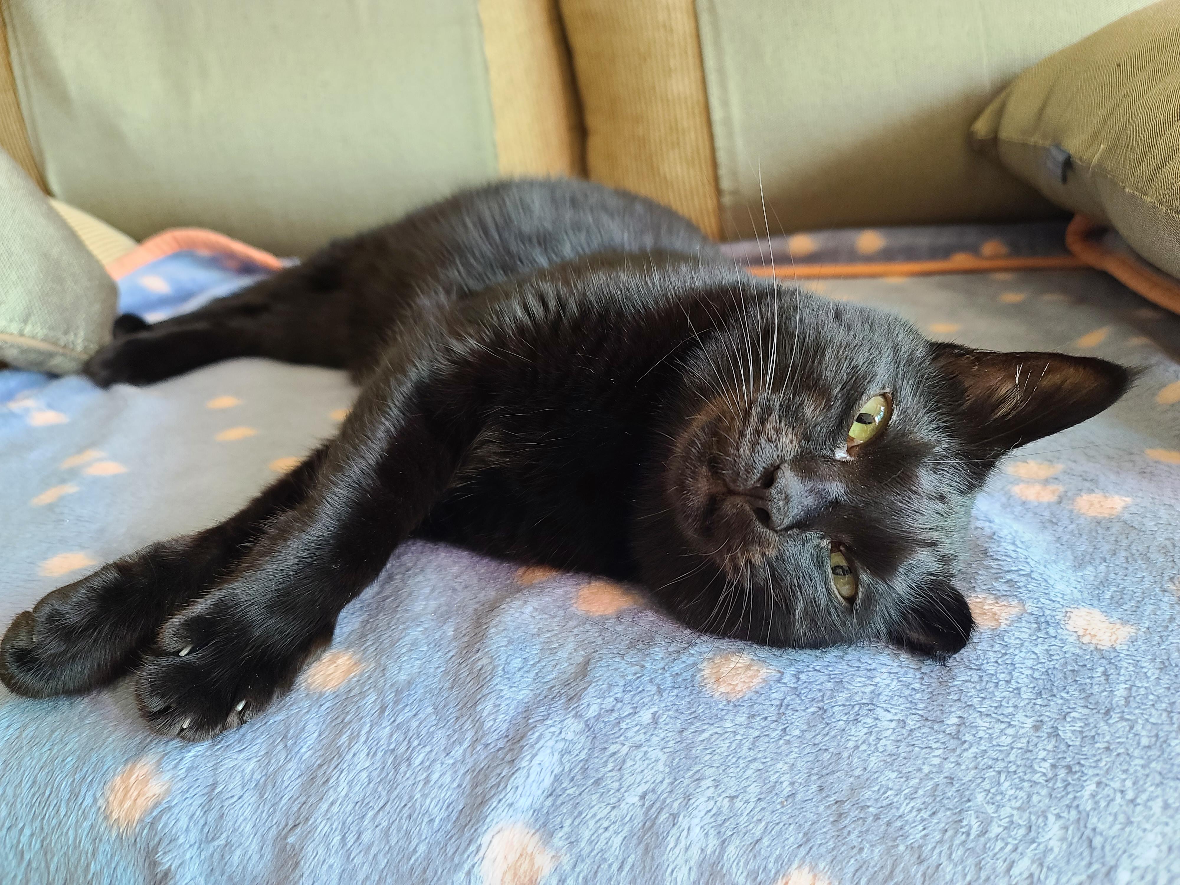 사랑스러운 스토커 건! (feat. 건이 콧구멍 ㅋㅋ)