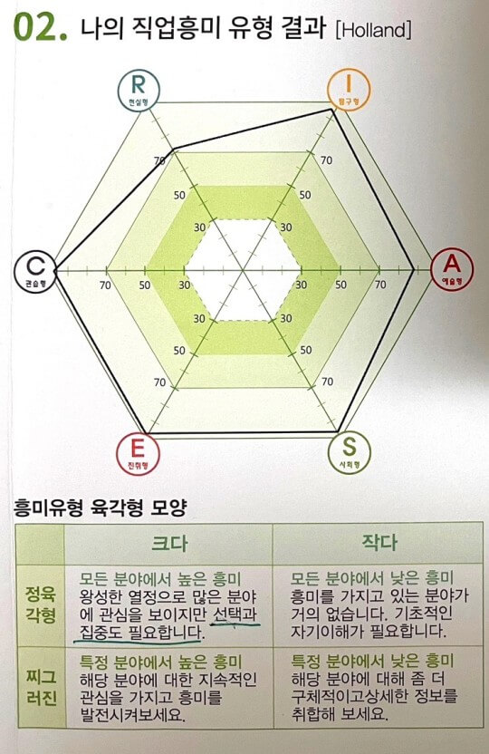 홀랜드 검사 결과