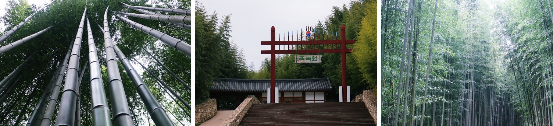 죽녹원