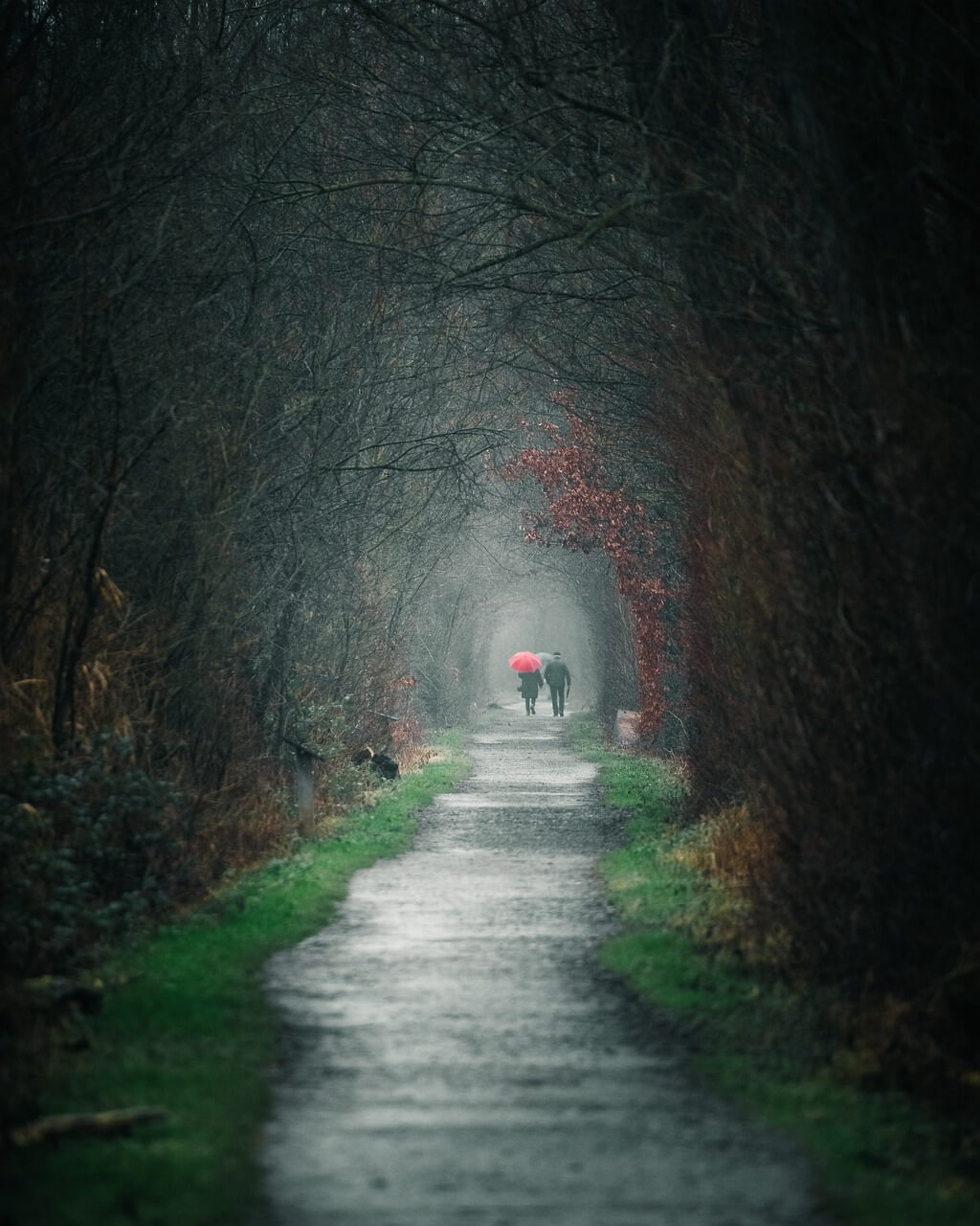 비 오는 꿈 해몽