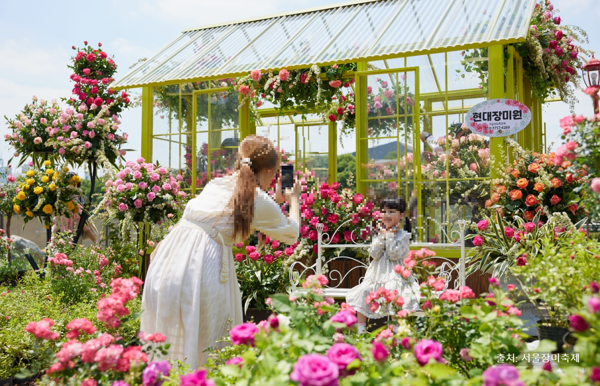 중랑 장미축제 안내