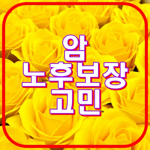 암노후보장 고민