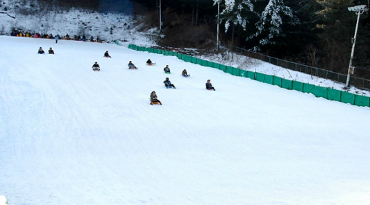 경기도 눈썰매장 정리