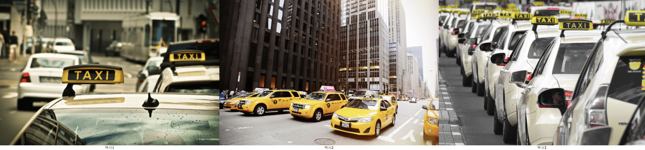 다양한 택시