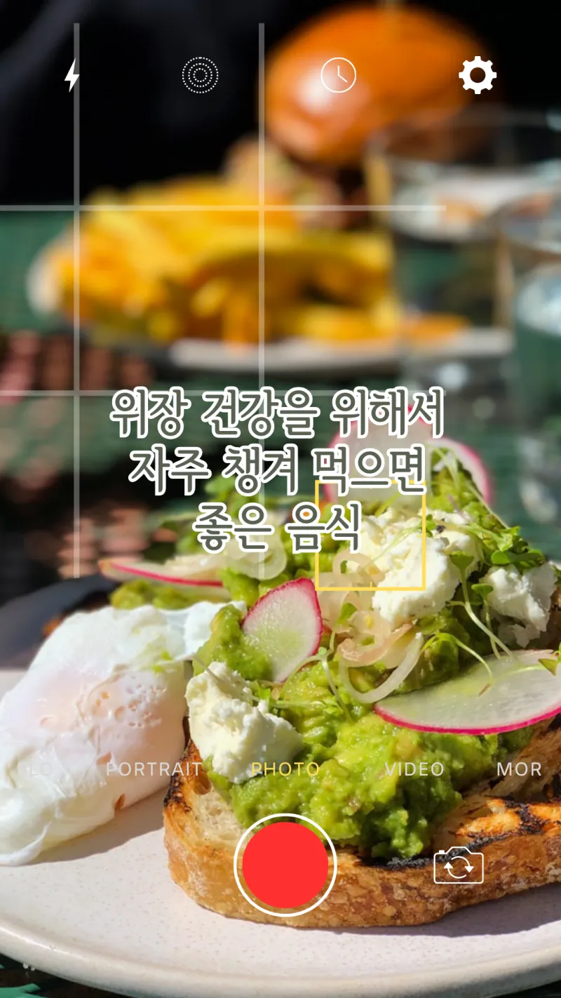 위장 건강에 좋은 음식들