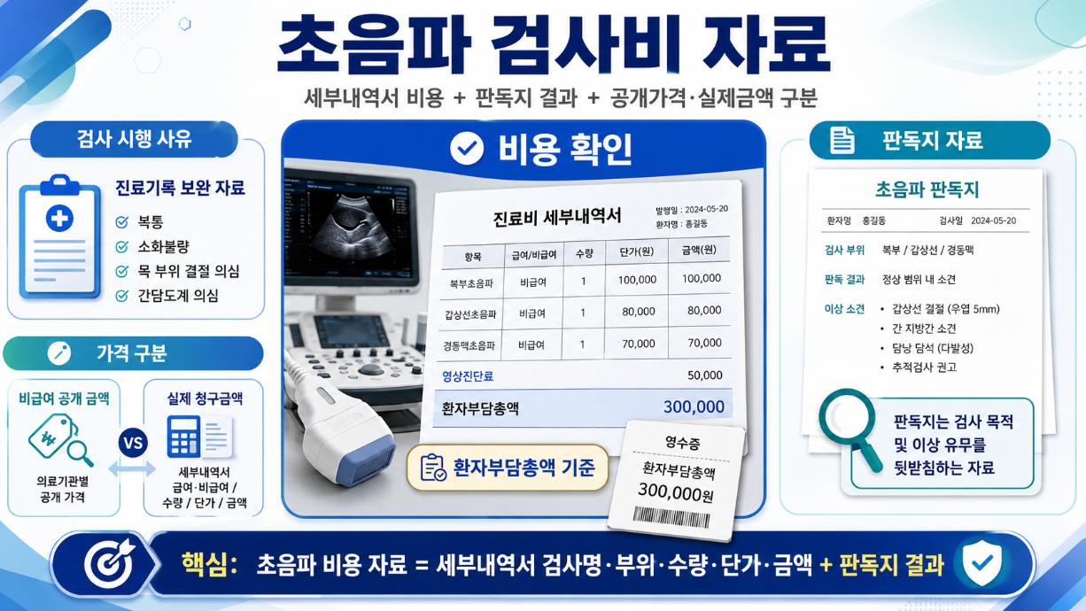 초음파 검사비 자료와 세부내역서, 판독지, 실제 청구금액 기준을 정리한 인포그래픽