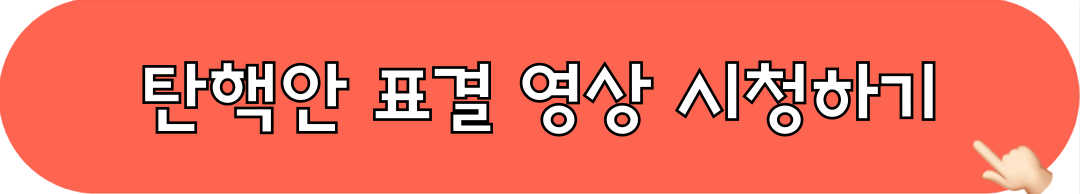 탄핵안표결_영상시청
