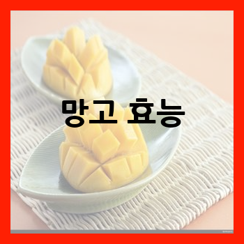망고 효능