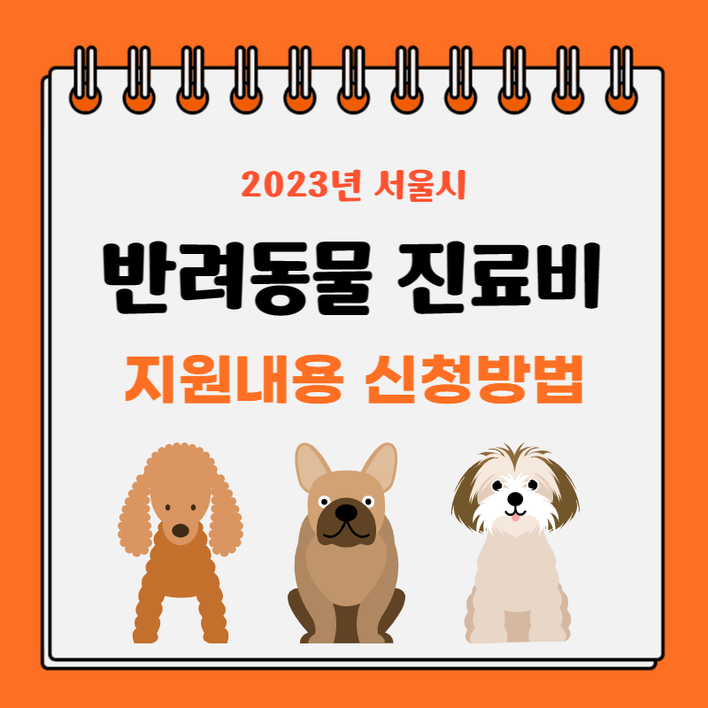 반려동물-진료비-지원내용-신청방법-썸네일