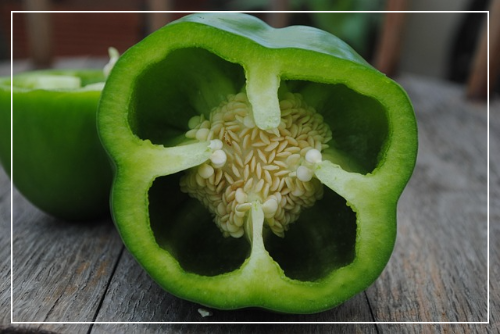 피망을 맛있게 먹는 방법