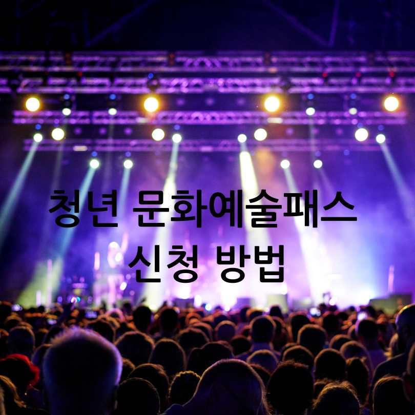 청년 문화예술패스