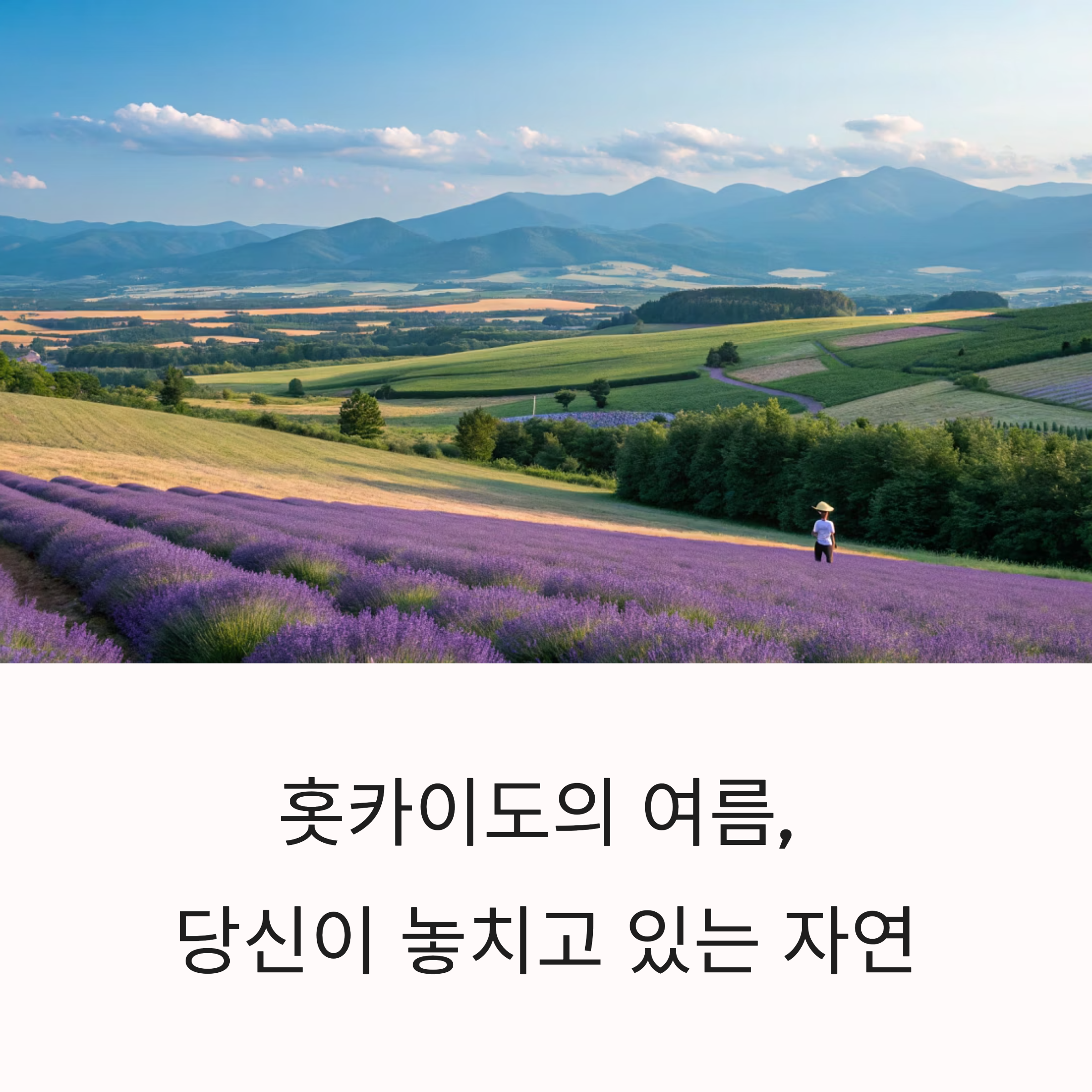 홋카이도 자연 여행