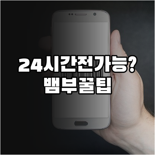 뱀부항공 온라인 체크인 24시간 전부..
