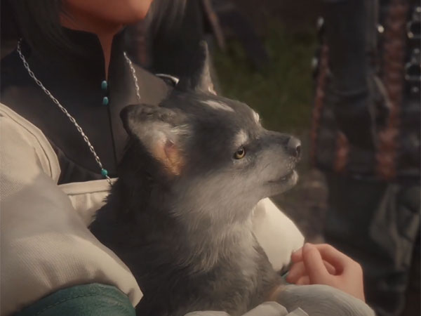 장비 액세서리 일반 이미지