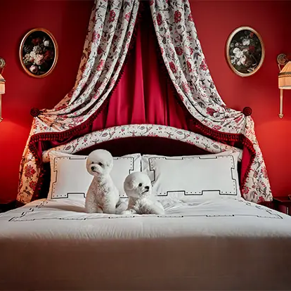 서울 반려견 동반 호캉스 러스케이프 호텔 펍 투 고 패키지 소개 운영 기간 요금 가격 유모차 대여 펫 용품