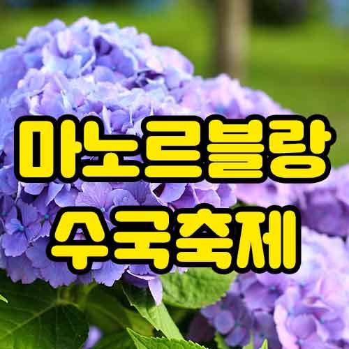 마노르블랑 수국축제