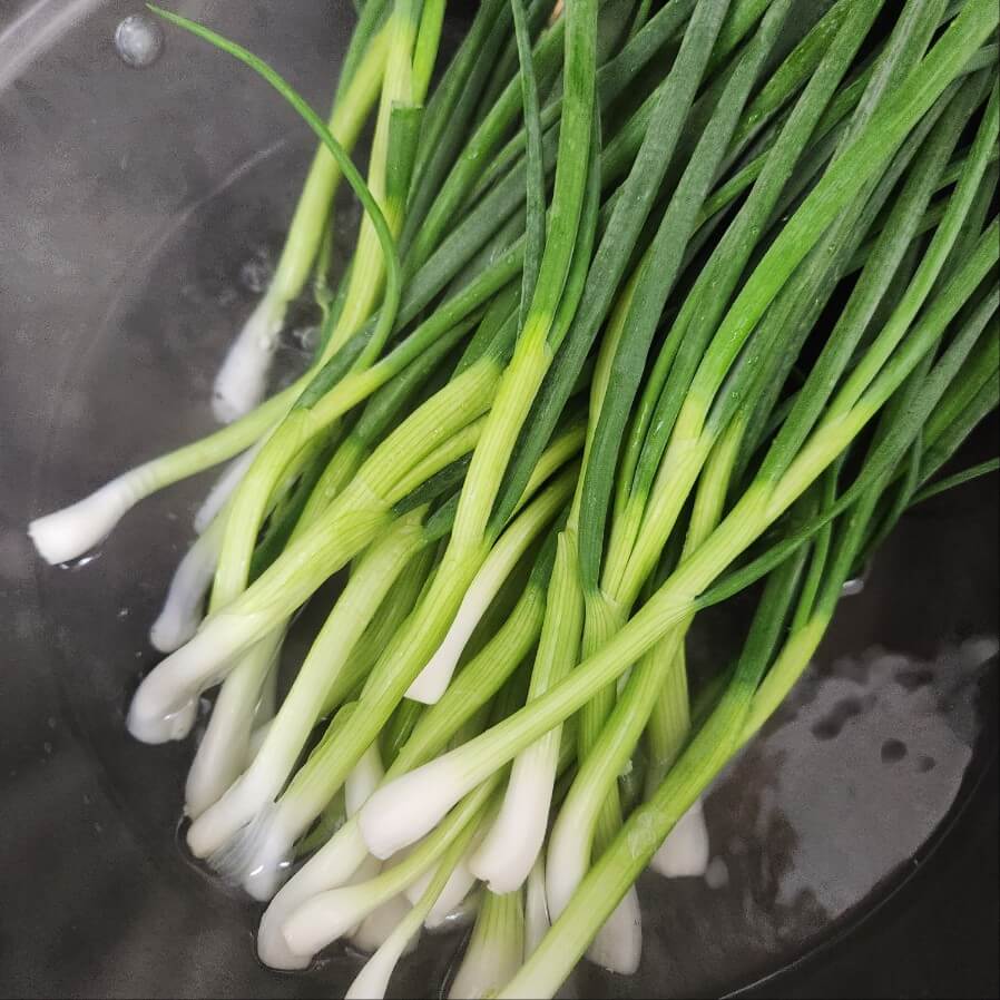 쪽파 요리 쪽파 요리법 쪽파 요리 새콤달콤 쪽파 무침 봄나물 요리 간단한 밑반찬 쪽파요리 밀가루없이 쪽파전 만들기 달근하니 맛있는 쪽파 김무침 김 쪽파무침 쪽파요리 오징어강회 초장에 콕 맛있는 쪽파요리와오징어손질법 쪽파무침 만드는 법 쪽파양념 데치기 쪽파요리 오징어쪽파강회 제철 쪽파요리 순두부 쪽파 계란국 끓이는법 아침국으로 좋아요 쪽파요리 파나물 | 쪽파요리 | 골파 | 파 밑반찬 | 쪽파나물 비오는날 음식 쪽파요리 해물파전 만드는 법 봄쪽파요리새콤달콤 쪽파 초무침 훈제오리쪽파볶음 레시피 훈제오리요리 쪽파볶음 파김치 담그는 법쉬운 봄 쪽파김치 만들기 쪽파 요리 쪽파 굴 베이컨 고추장 전 어버이날 요리 쪽파요리법 쪽파요리 김치