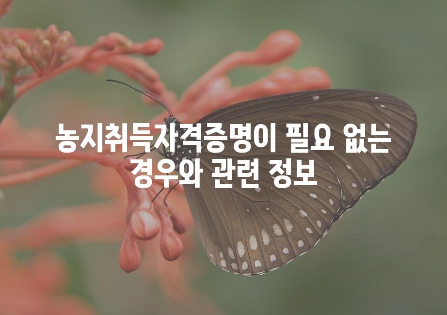 샘플 (51)