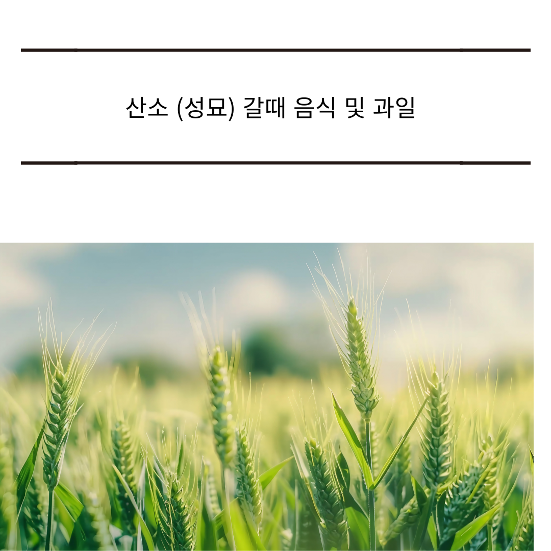 산소(성묘) 갈때 음식 과일 및 주의할점