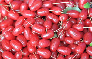 보리수 열매 먹는법, 효능, 수확시기 및 부작용