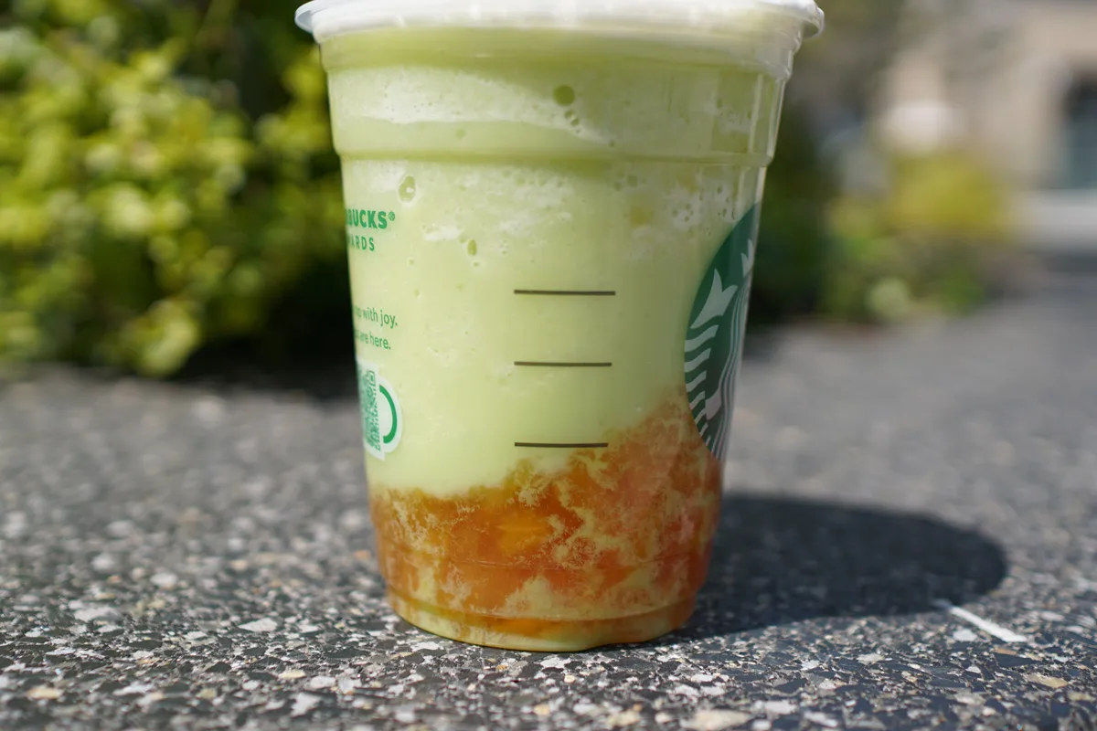 GOHOBI 멜론 프라푸치노